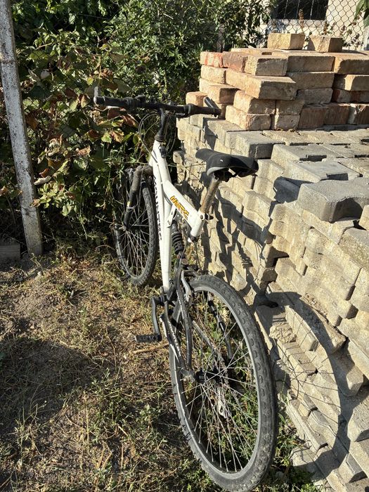Bicicleta adult