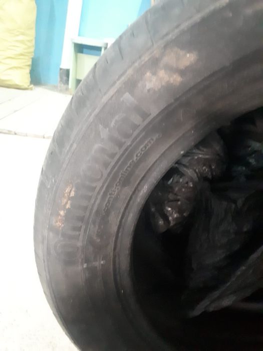 Шины Continental 205/60 R 16