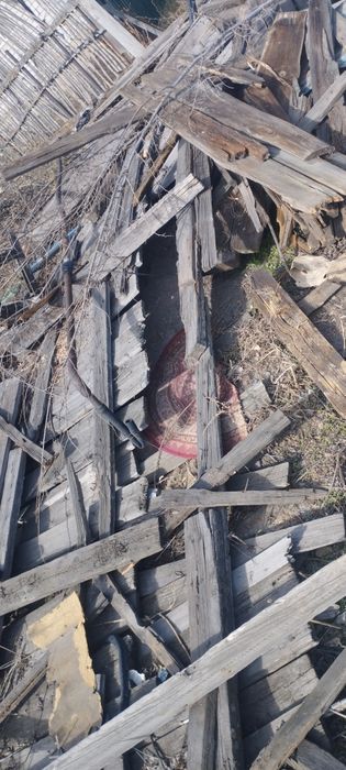 Отдам даром самовывоз