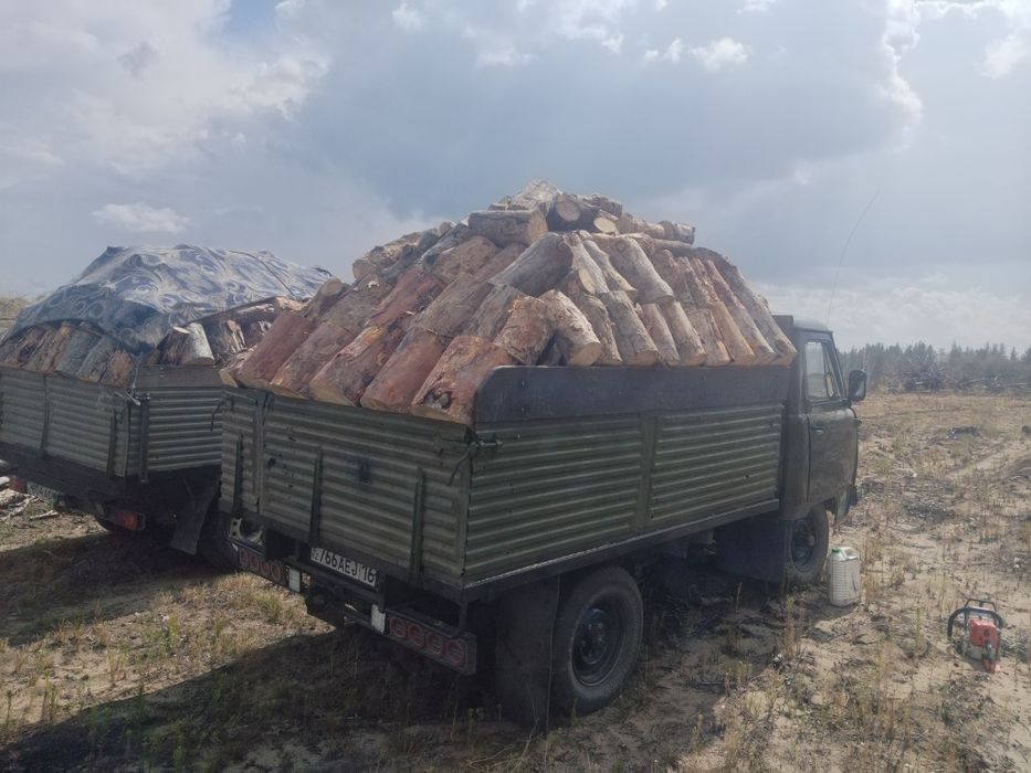 Продам дрова сухие.