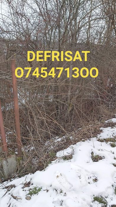 Defrișat taiat iarba  vegetație spini mărăcini .