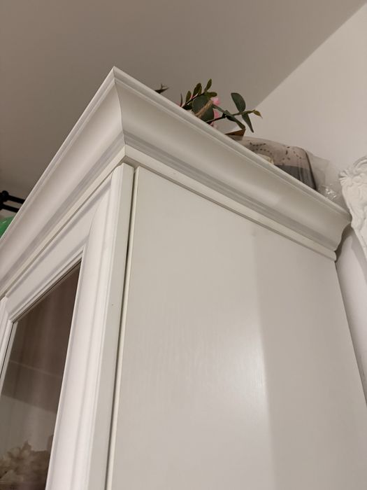 Vitrina alba eleganta