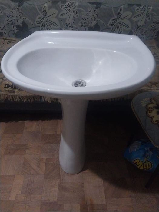 Раковина тюльпан