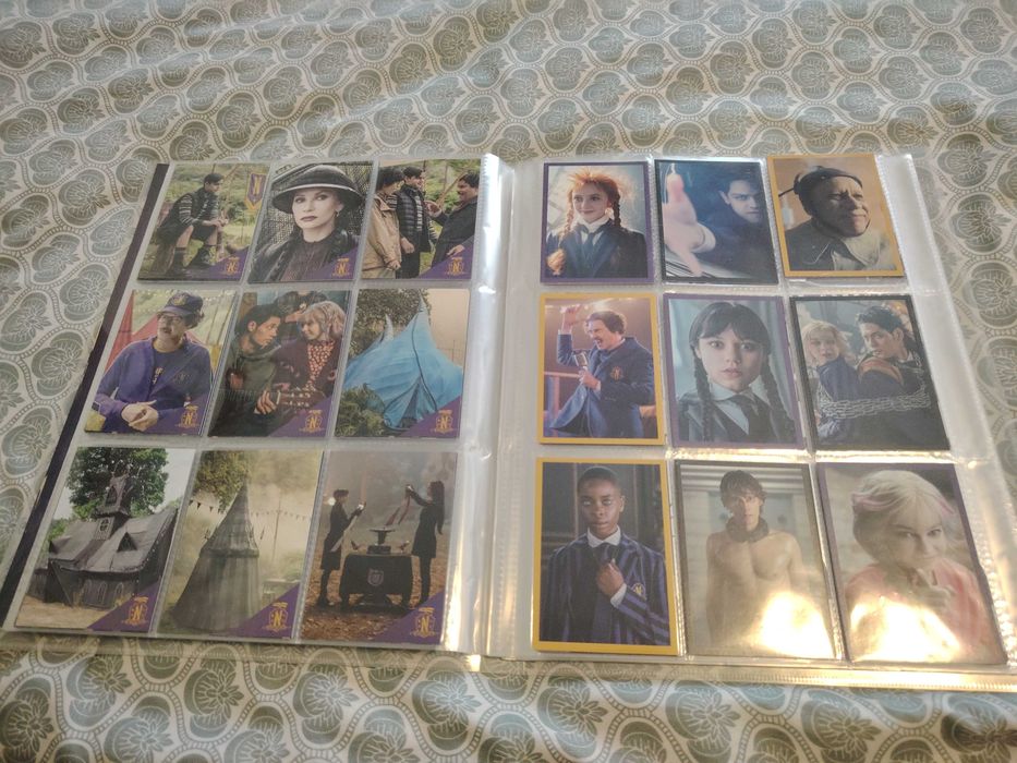 album Panini Wednesday complet
