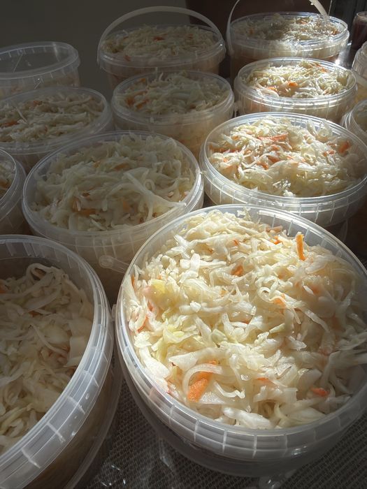 Квашеная капуста