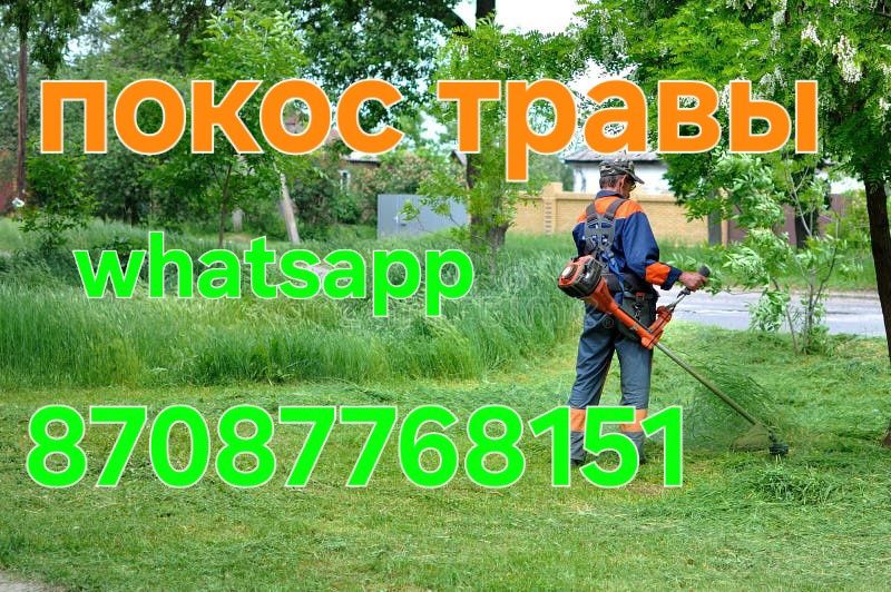 Покос травы быстро качественно