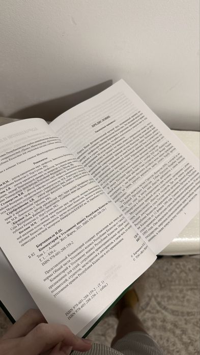 Комментарий к УК кодексу РК Борчашвили