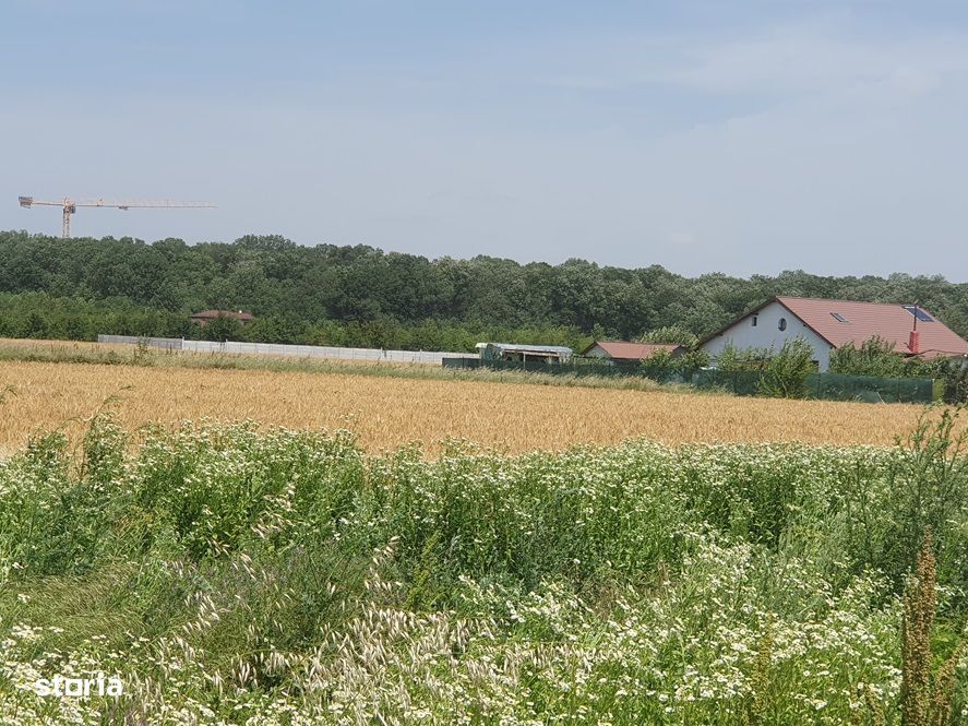 Teren Balotesti,langa padure,case construite pe strada, 61000 euro