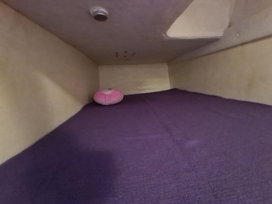 Vand ambarcatiune cu motor USA, Yacht/cruiser.