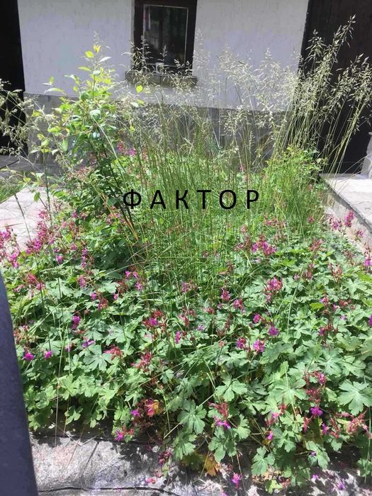 Продава се Къща в с. Свежен, Област Пловдив - 88 кв.м за 454 €/кв.м - Снимка #16