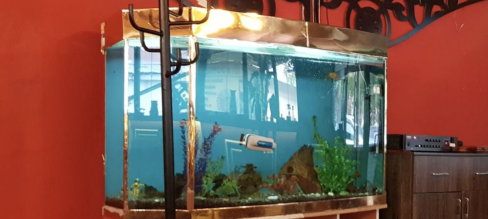 Продам аквариум большой