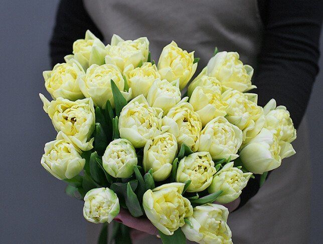 Тюльпаны экстра класса