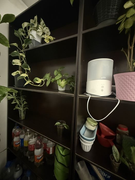 Тумбочка Шкаф полки