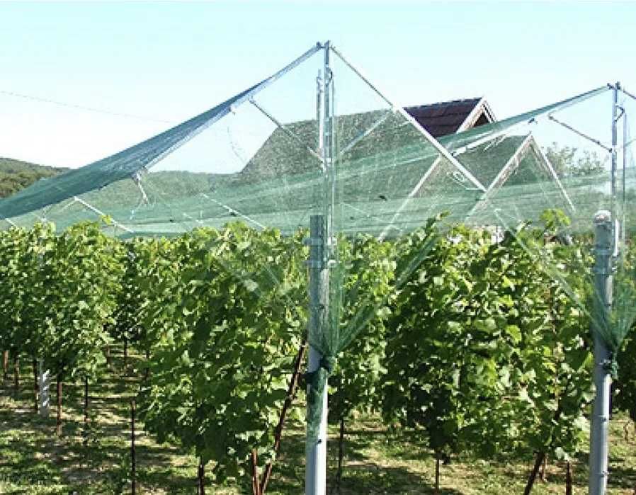 Мрежа против Градушка - Защита и Комфорт в Земеделието!