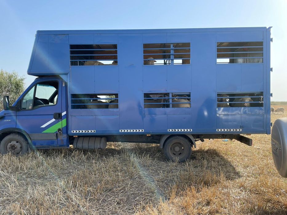 Caroserie/bena cub transport animale 2 nivele .doar cubul schimb jepp