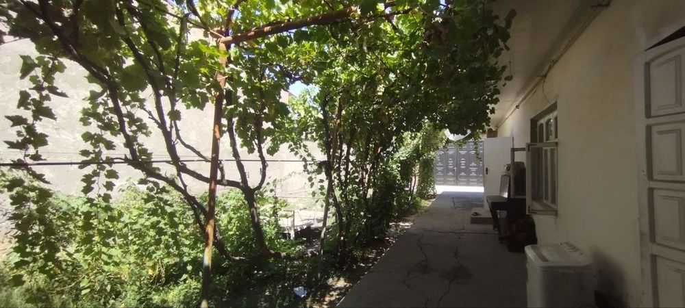 Yangihayot tumanida uchastka sotiladi