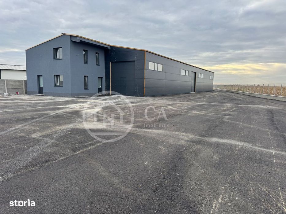 Hala de inchiriat, situata la intrare in Livada, Bihor