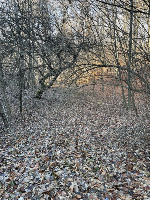 Vand teren extravilan 15000m in Valea Lunga-Dambovita cu padure, ideal pentru investitii