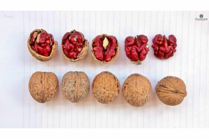 Nuc Rubin (Cu miez Rosu )