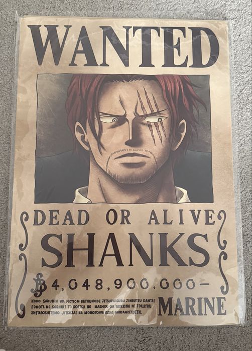 Ван пис Шанкс и Зора 40х30см