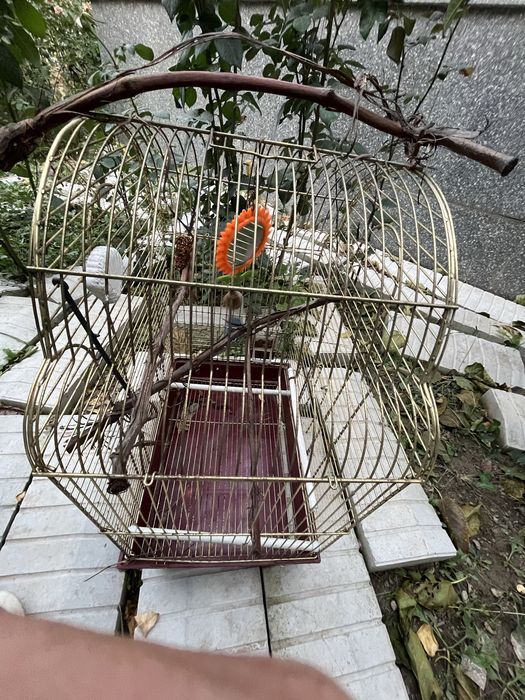 Продам б/у клетка