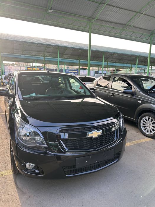 Cobalt 2025 mcm midnight