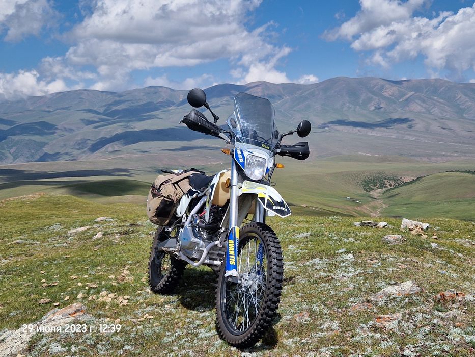 Авантис люкс 250