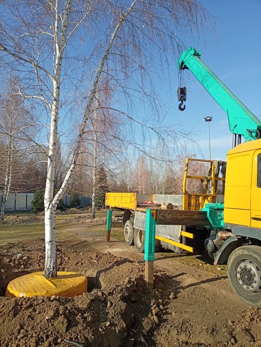 Услуги манипулятора