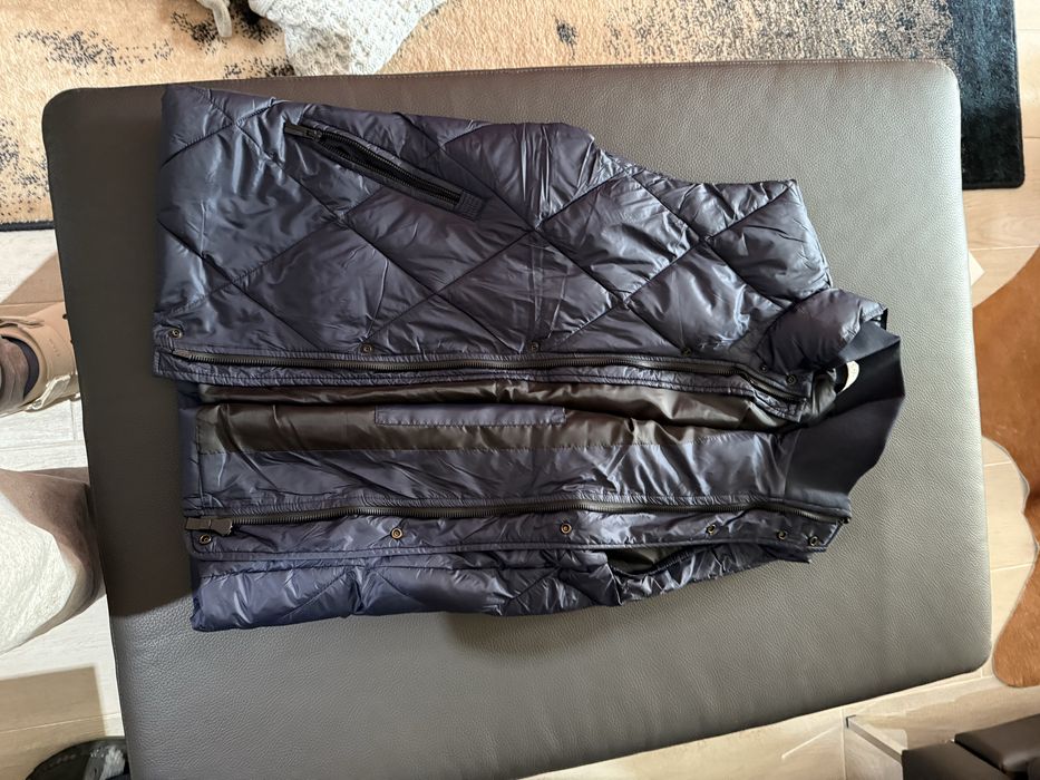 Vesta Zara barbati L