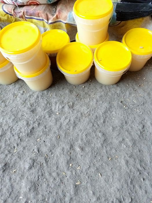 Мёд донник, разнотравье и гречишный