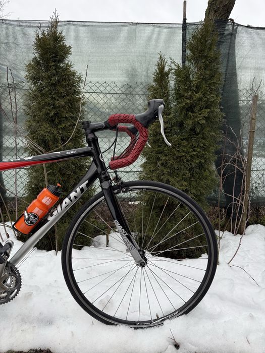 Cursiera Giant SCR3