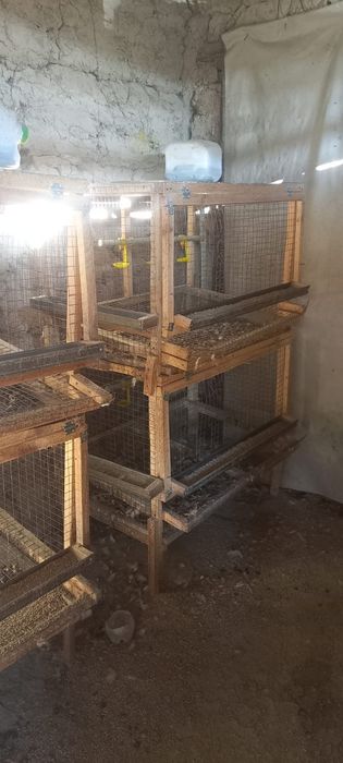 Продается клетка для кур