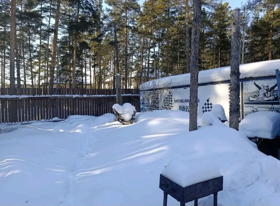 Продам дом в лесу