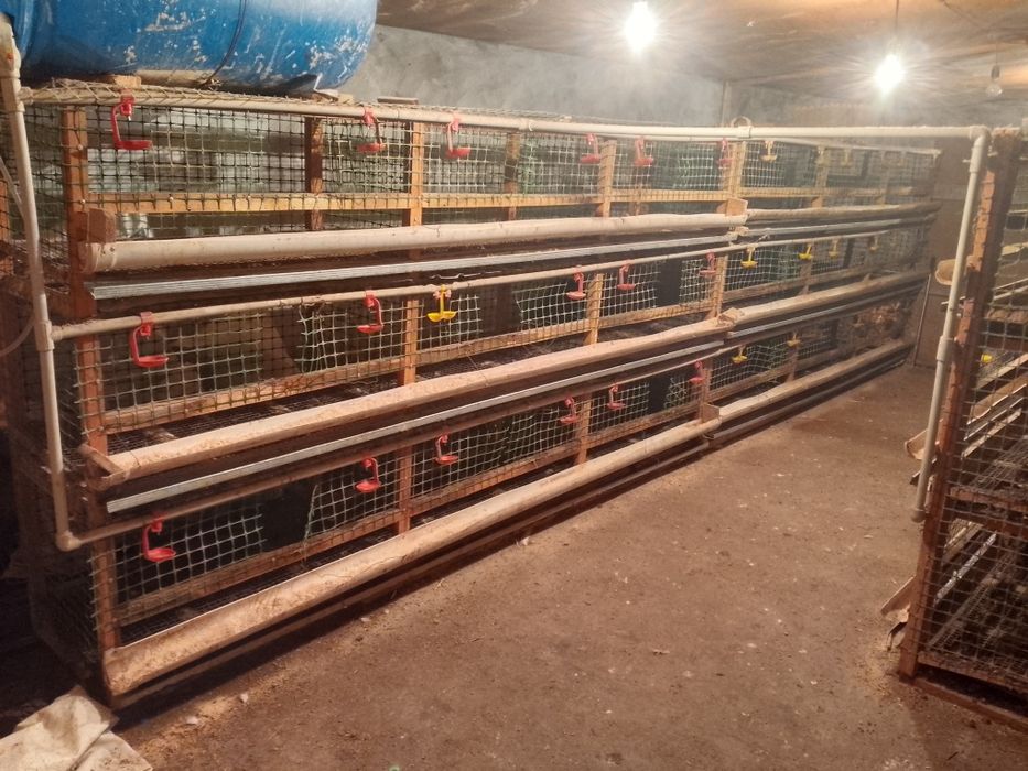 Клетка для куры, 3 шт