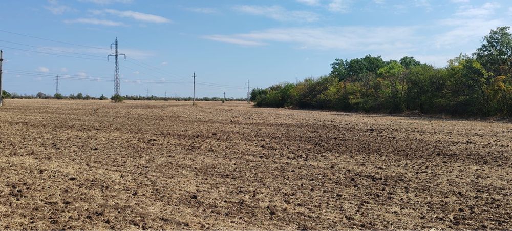 Teren de vanzare Alexandria/Nanov