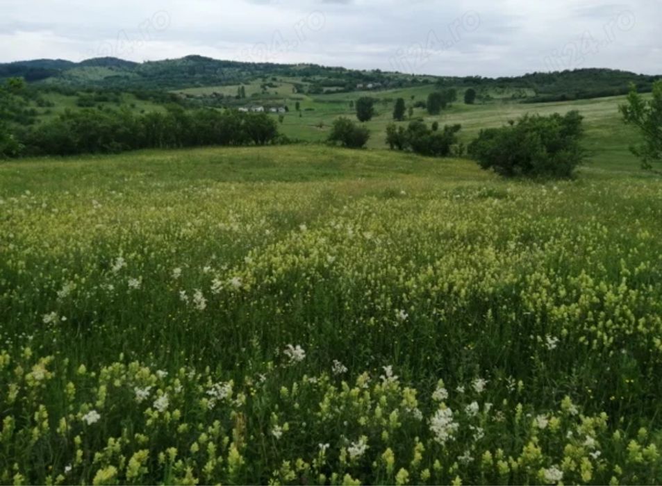 TEREN de vanzare, 4777 mp, in Posesti, judetul Prahova