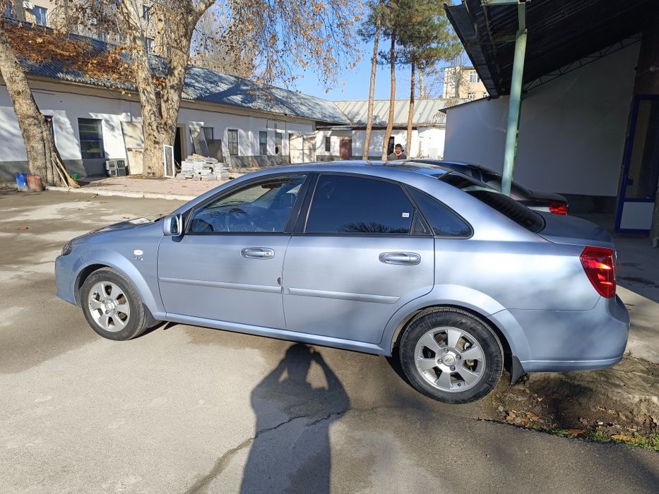 Джентра, дельфин 2019