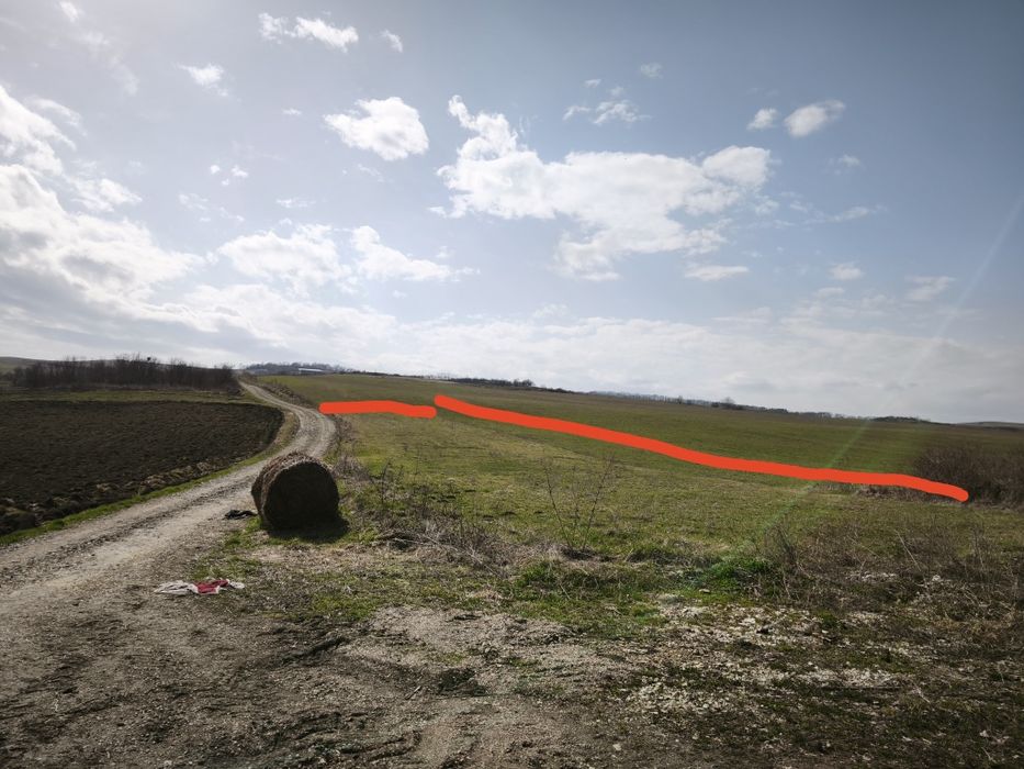 Taren de vânzare în Firminiș