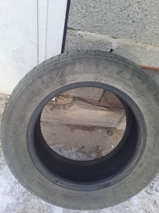 Шина зимние трианжел