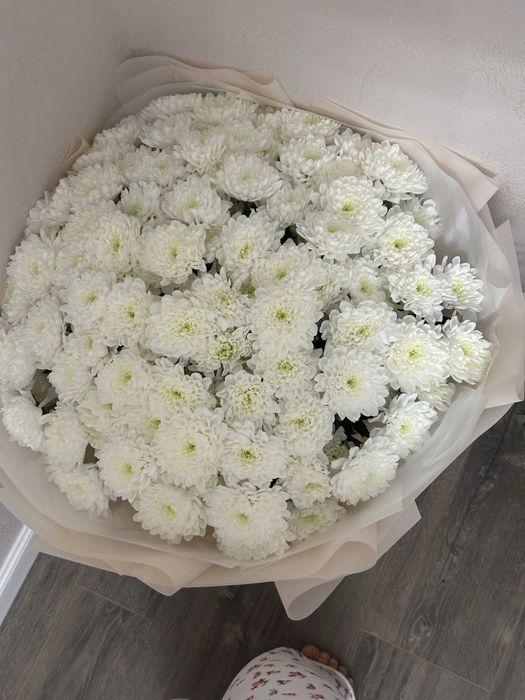 Цветы 101 шт белые хризантемы
