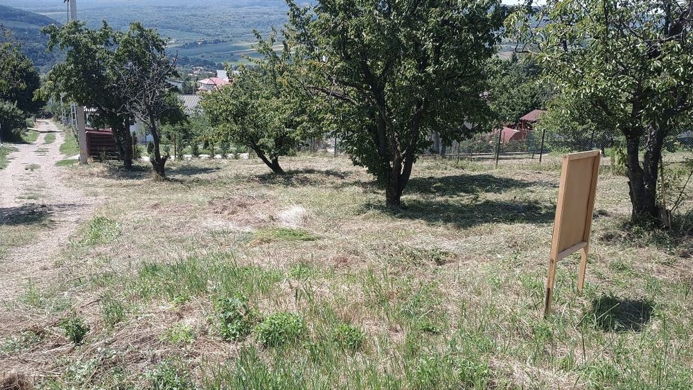 Teren intravilan Chicerea 3000mp