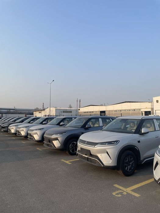 Byd yuang up smart 2026