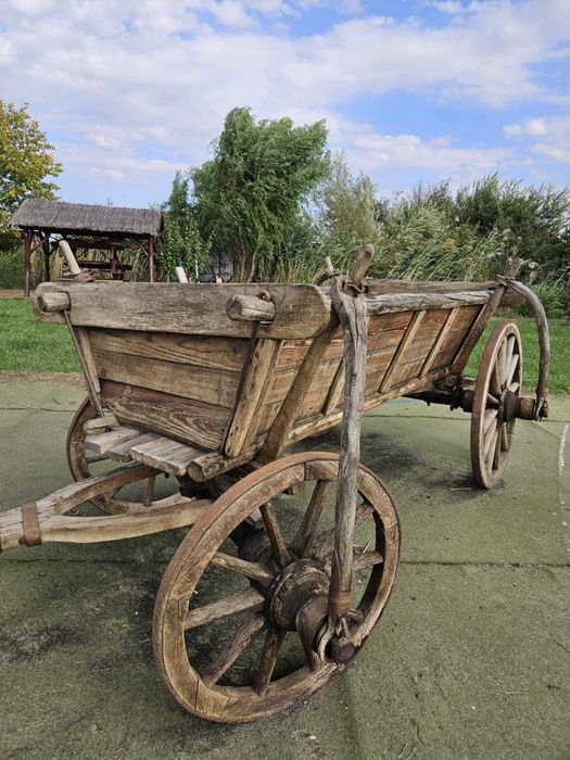 Caruta, potrivit pentru scopuri decorativa