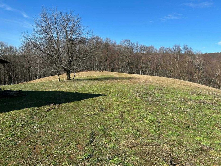 Teren cu panorama de vis , Borod