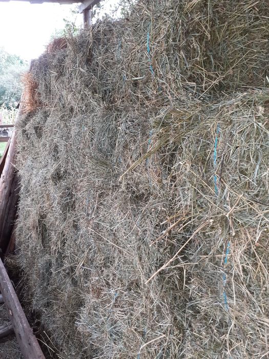 Baloți fân coasa 1 .șî 2.semănătoare porumb.