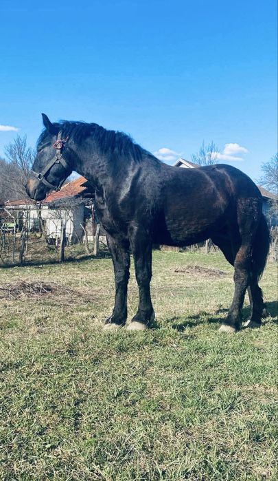 Manza de 2 ani pentru pretentiosi ne schimbata la gura