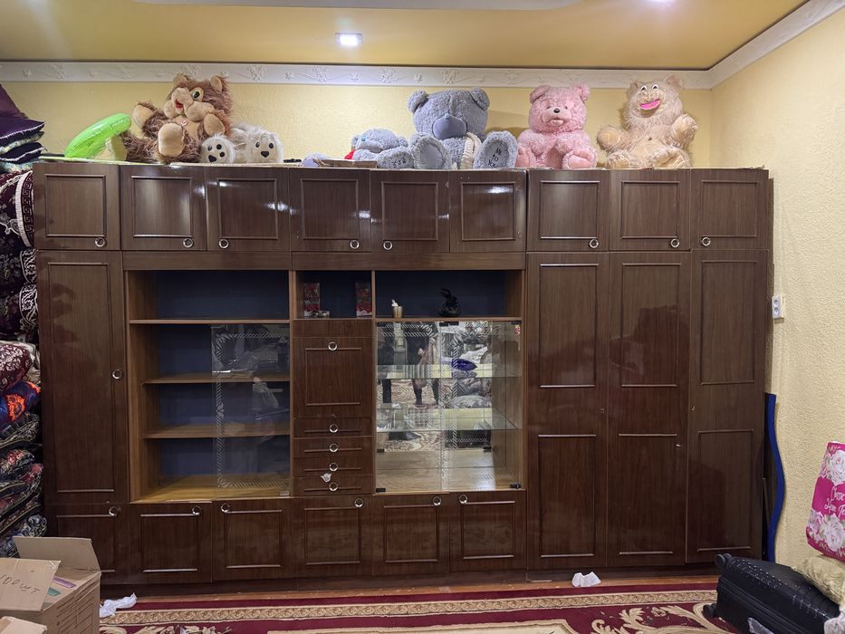 Steralni moshina stenka