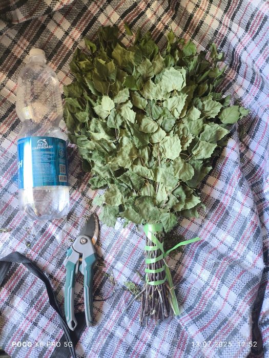 Продаются травы банные веники