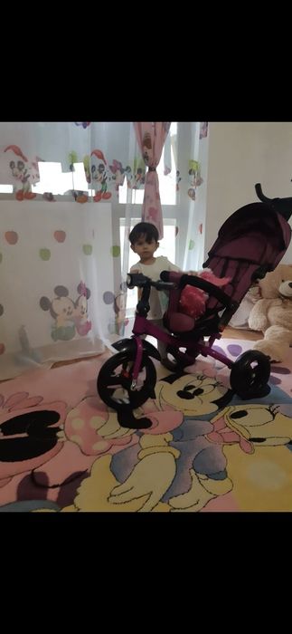 Tricicleta cu scaun reversibil Still, 6-36 luni