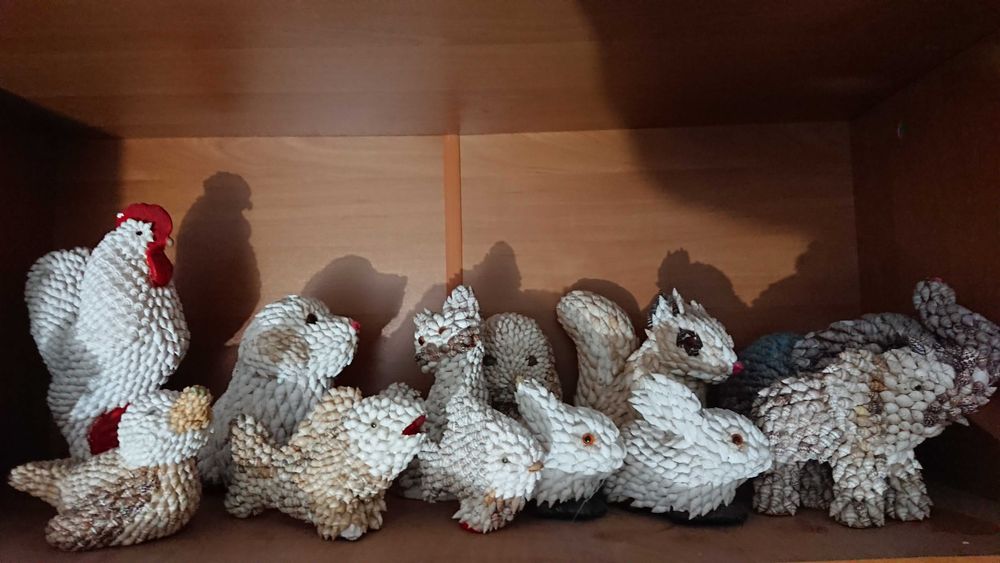 Colectie animale scoici